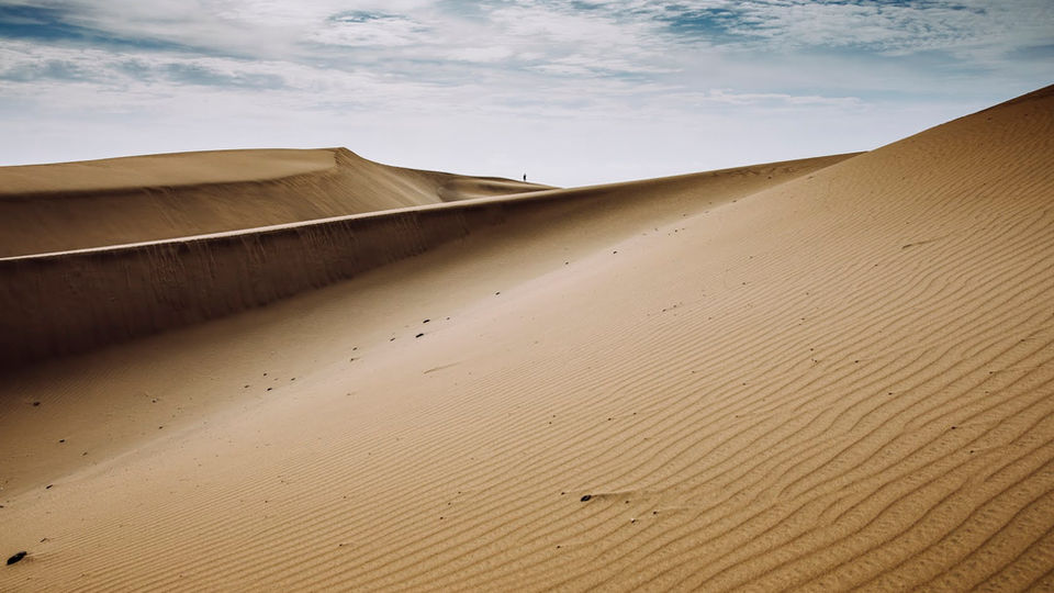 Reich: The Desert Music - Brussels Philharmonic & Vlaams Radiokoor